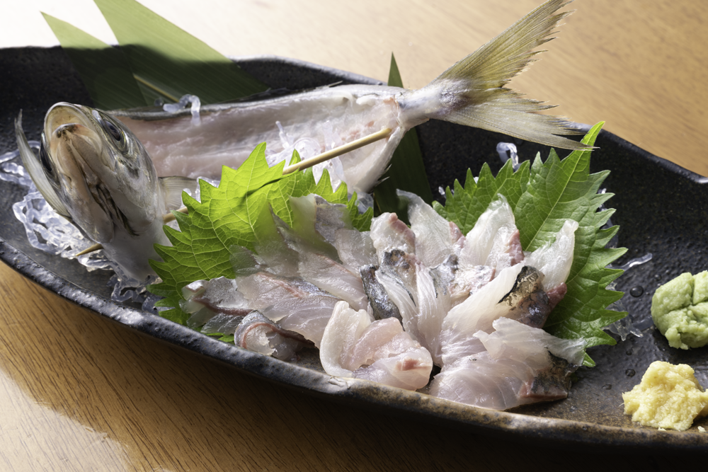 秋のおすすめメニューアジの姿造り